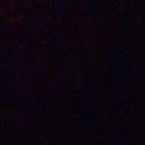 Meet your Posher, Leo